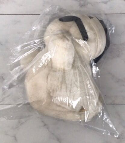 激レア☆サンアローオバケのテリオットぬいぐるみ☆