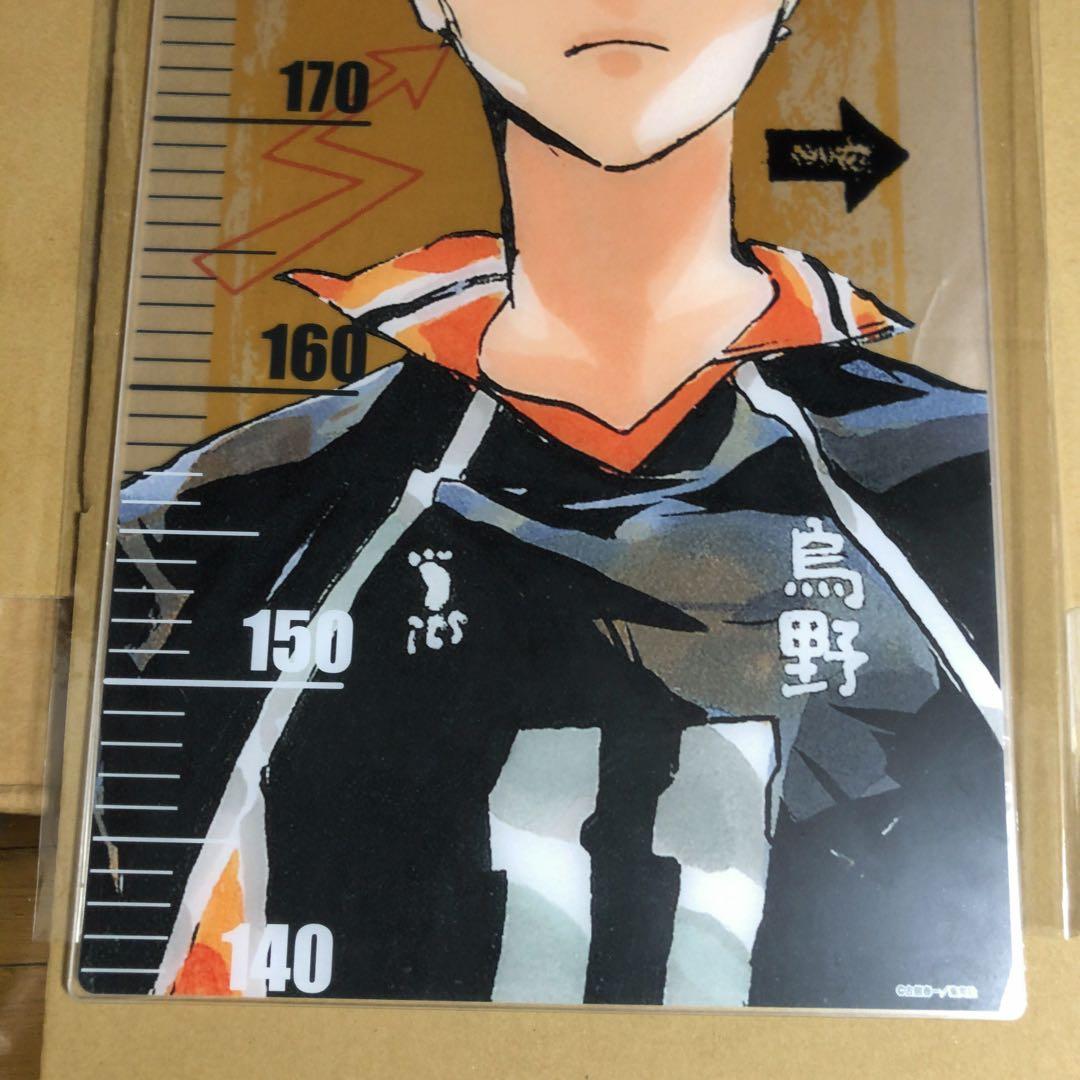 ハイキュー ジャンプショップ受注生産 アクリル身長計 月島蛍