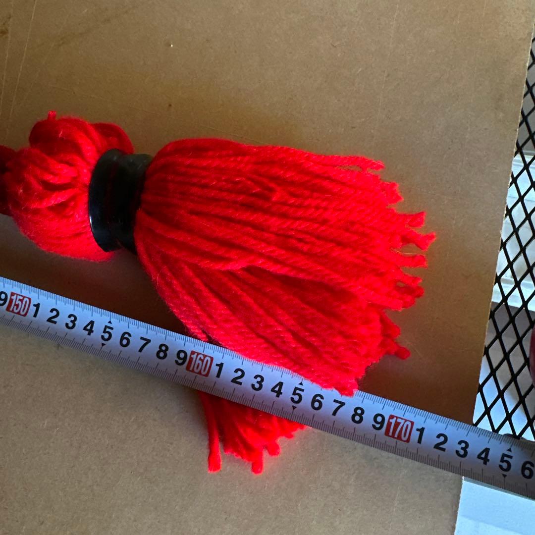 土佐犬　土佐闘犬　超大型犬　化粧引き綱