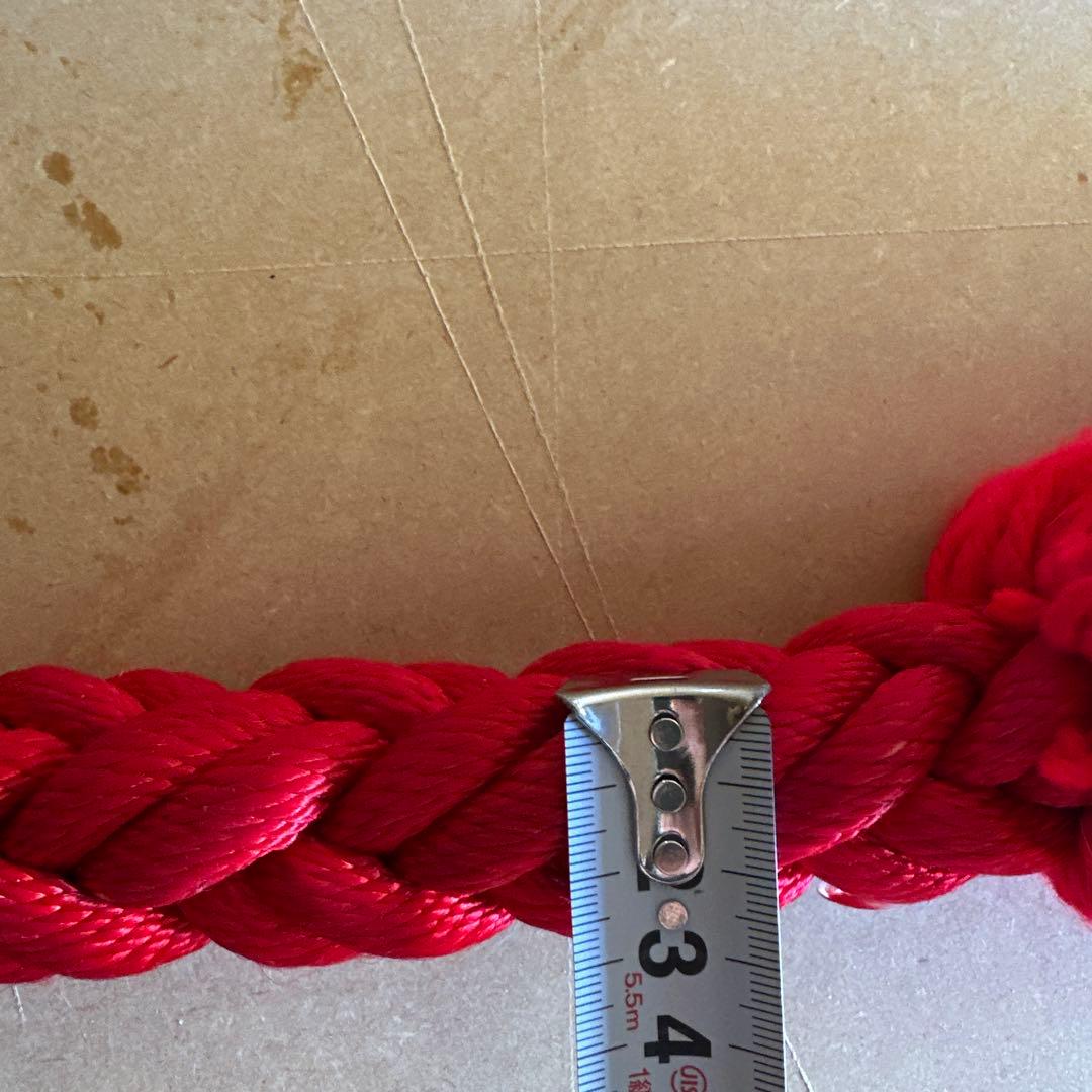 土佐犬　土佐闘犬　超大型犬　化粧引き綱