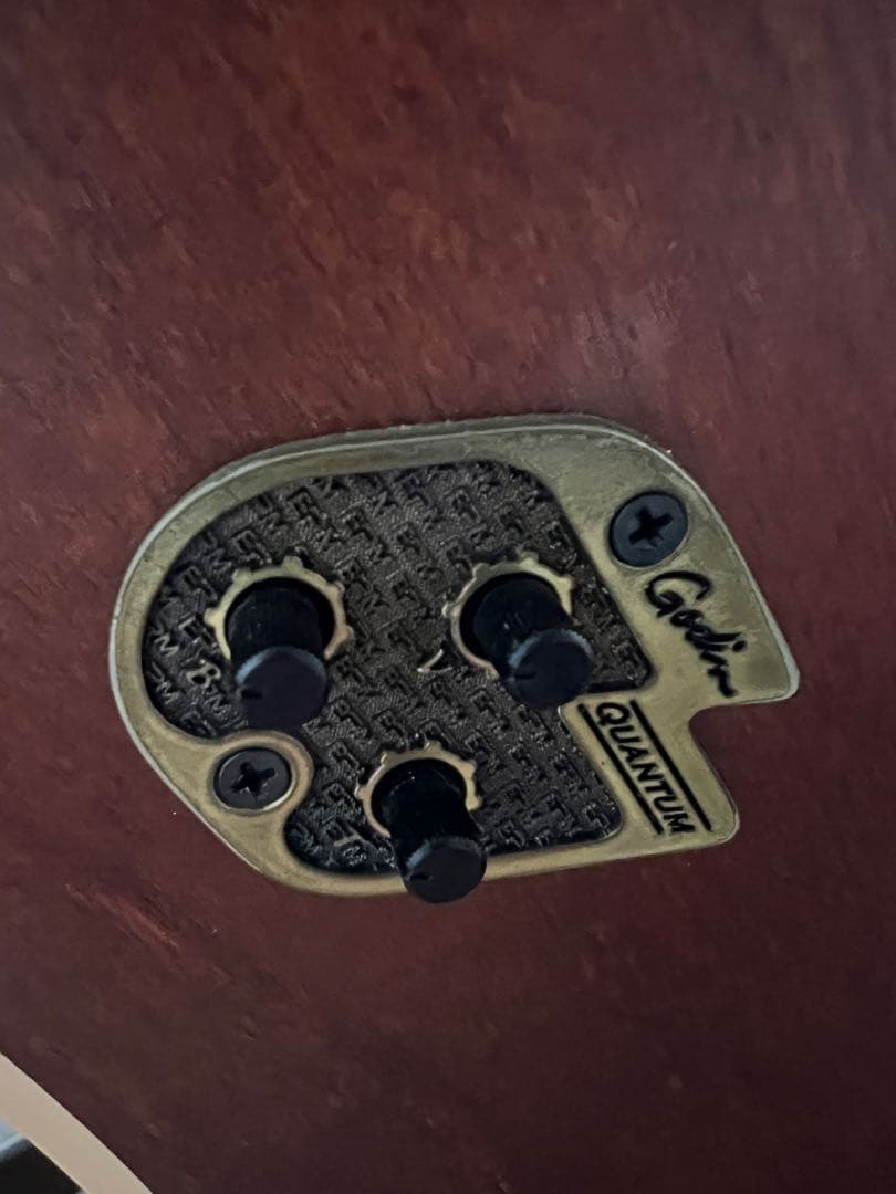 Seagull S6 + Cedar GT アコースティックギター