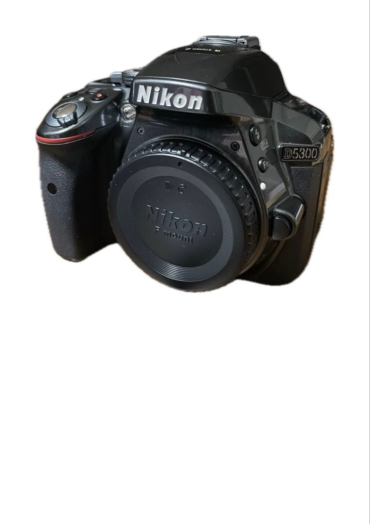Nikon D5300 ダブルズームセット