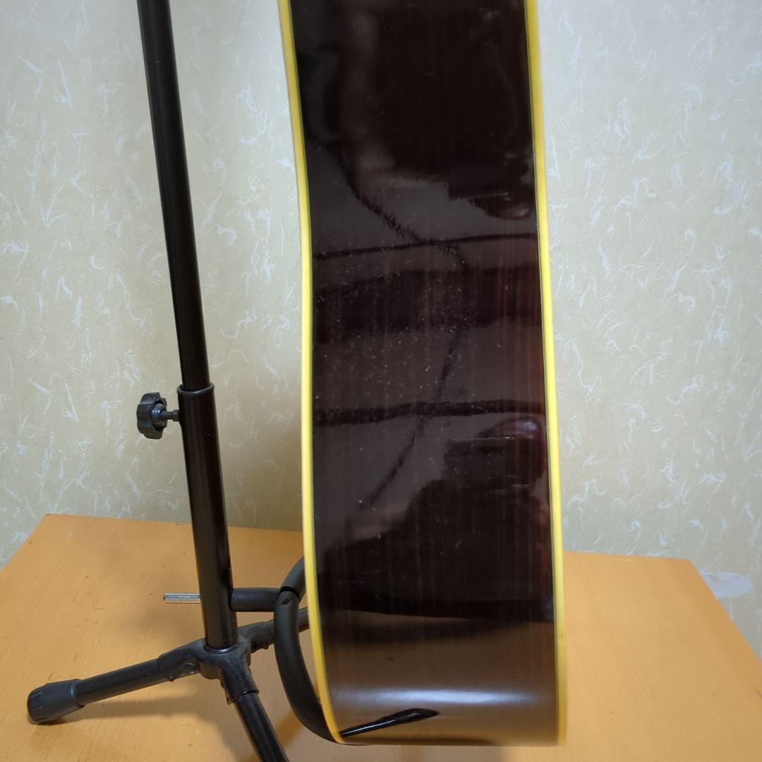 Morris アコースティックギター ドレッドノート エレア