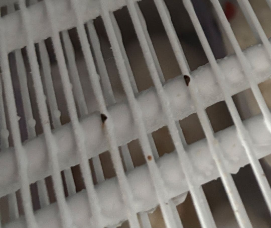 冷凍庫 Hisense ホワイト 右開きタイプ HF-A61W