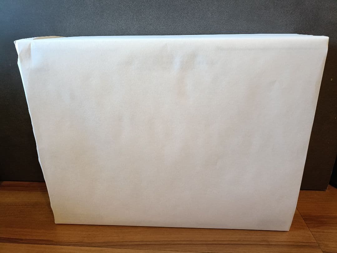 MGEX 1/100 ストライクフリーダム TWILIGHT COATING