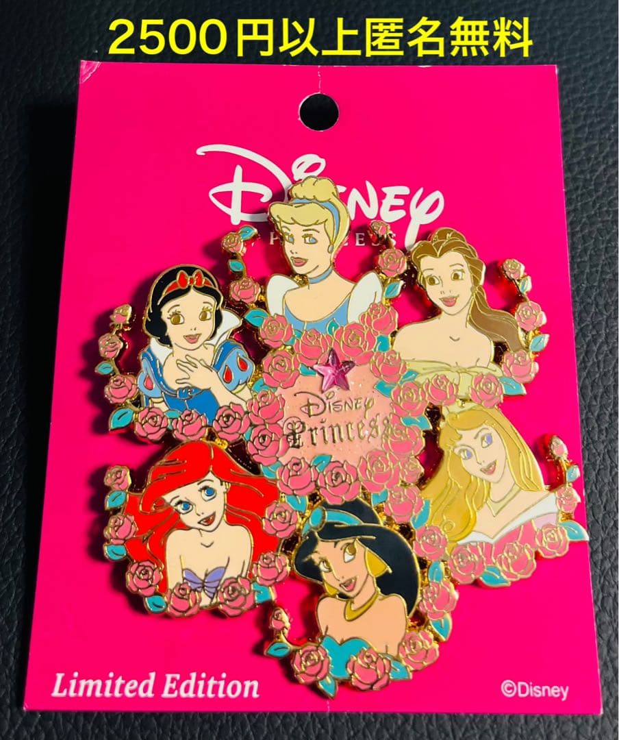 3311.日本ディズニーパルズ特大ピン2004オールプリンセスローズ限定500個