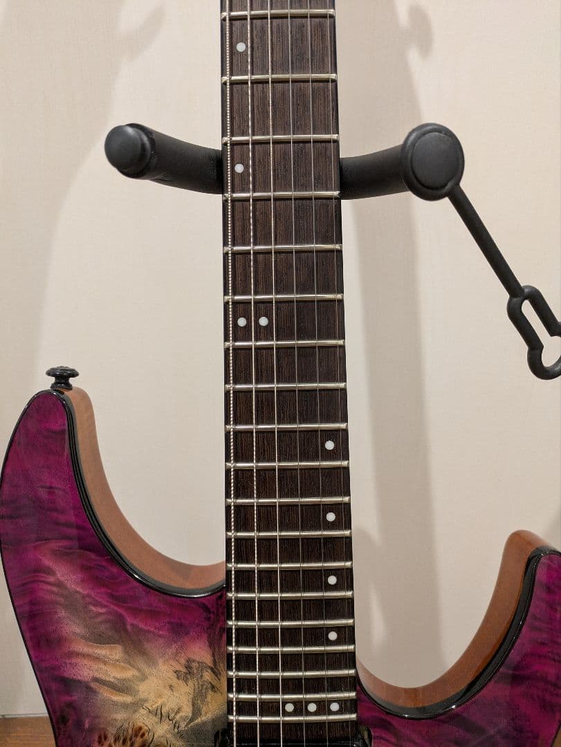 ★限定生産　SCHECTER　AD-C-6-FR-PRO　ARB 改★