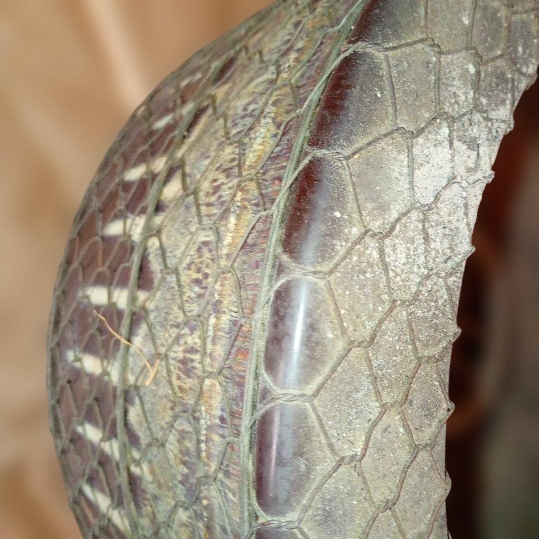 火鉢 網目状装飾