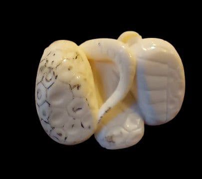 定一 在銘 「蛇と蛙 」根付