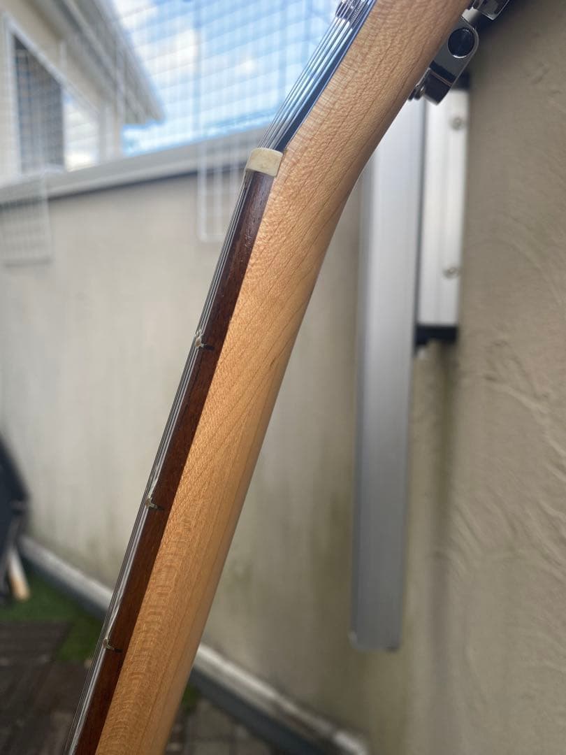 aria pro ii MAC STD/SSH(アリアプロⅡ)