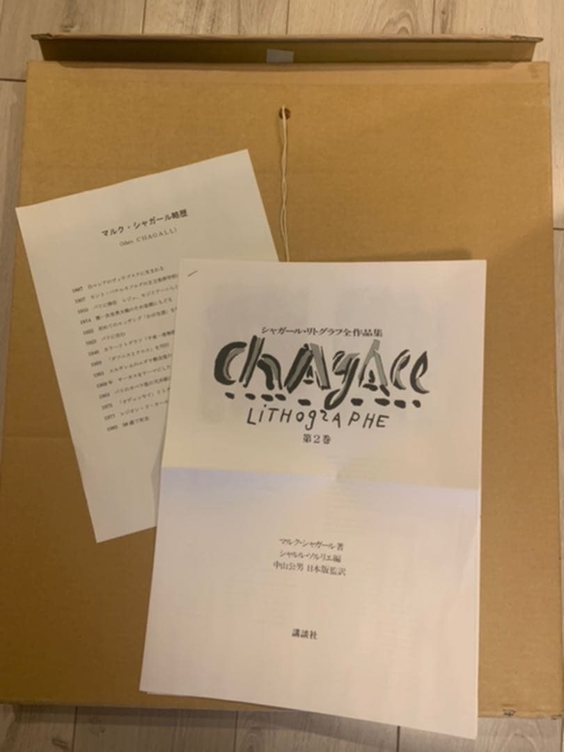 送料込み 美品額縁 マルクシャガール 魔王と王国 677