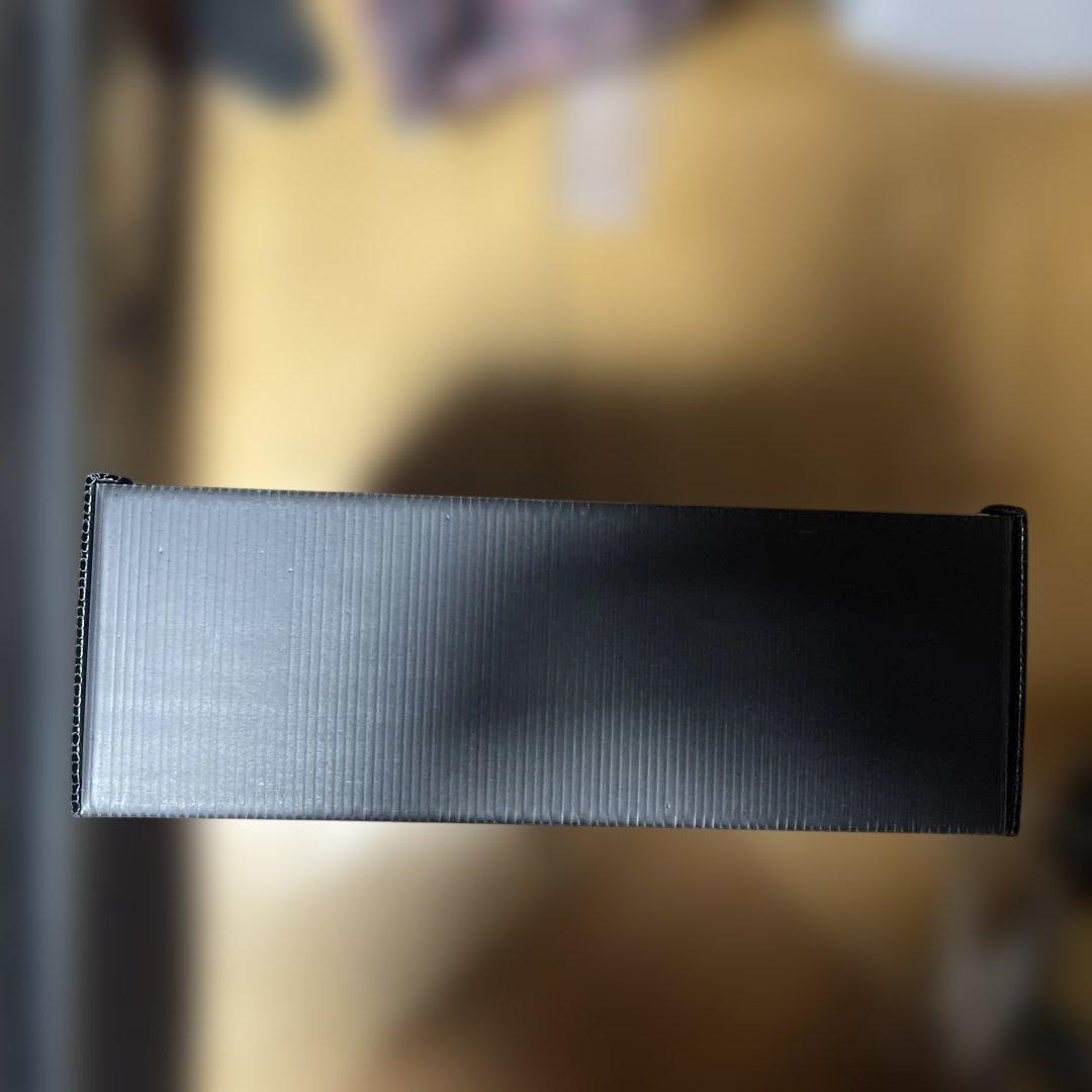 HODYラジコンバック‼️