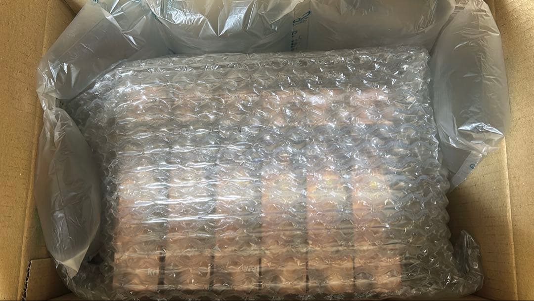 遊戯王クォーターセンチュリーアートコレクション25th 12BOX シュリンク付