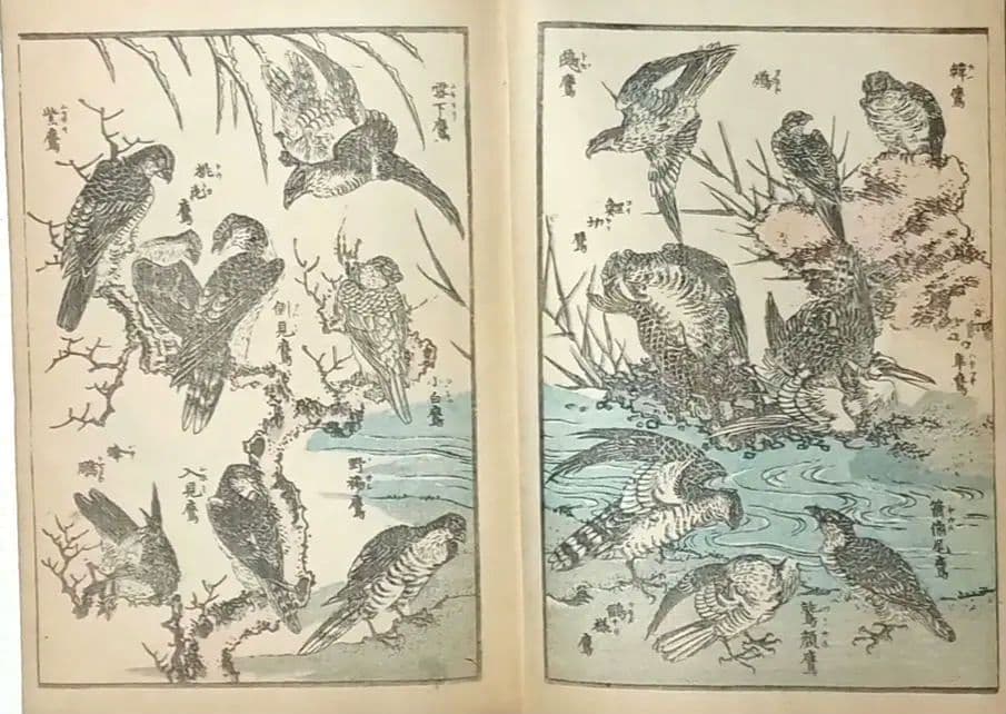 北斎画宛二編（色摺版画本)葛飾北斎画明治初期後摺再板になります（初版は天保3年)