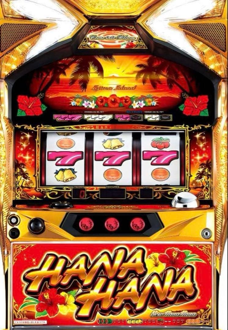 ニューハナハナゴールド-30 データカウンター付き実機　【取引限定】