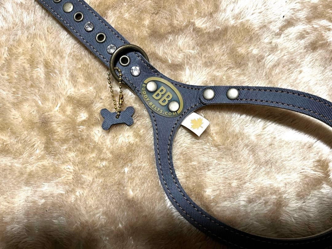 バディベルト 限定色 ブルージーン スワロ ハーネス＆リードセット2セット