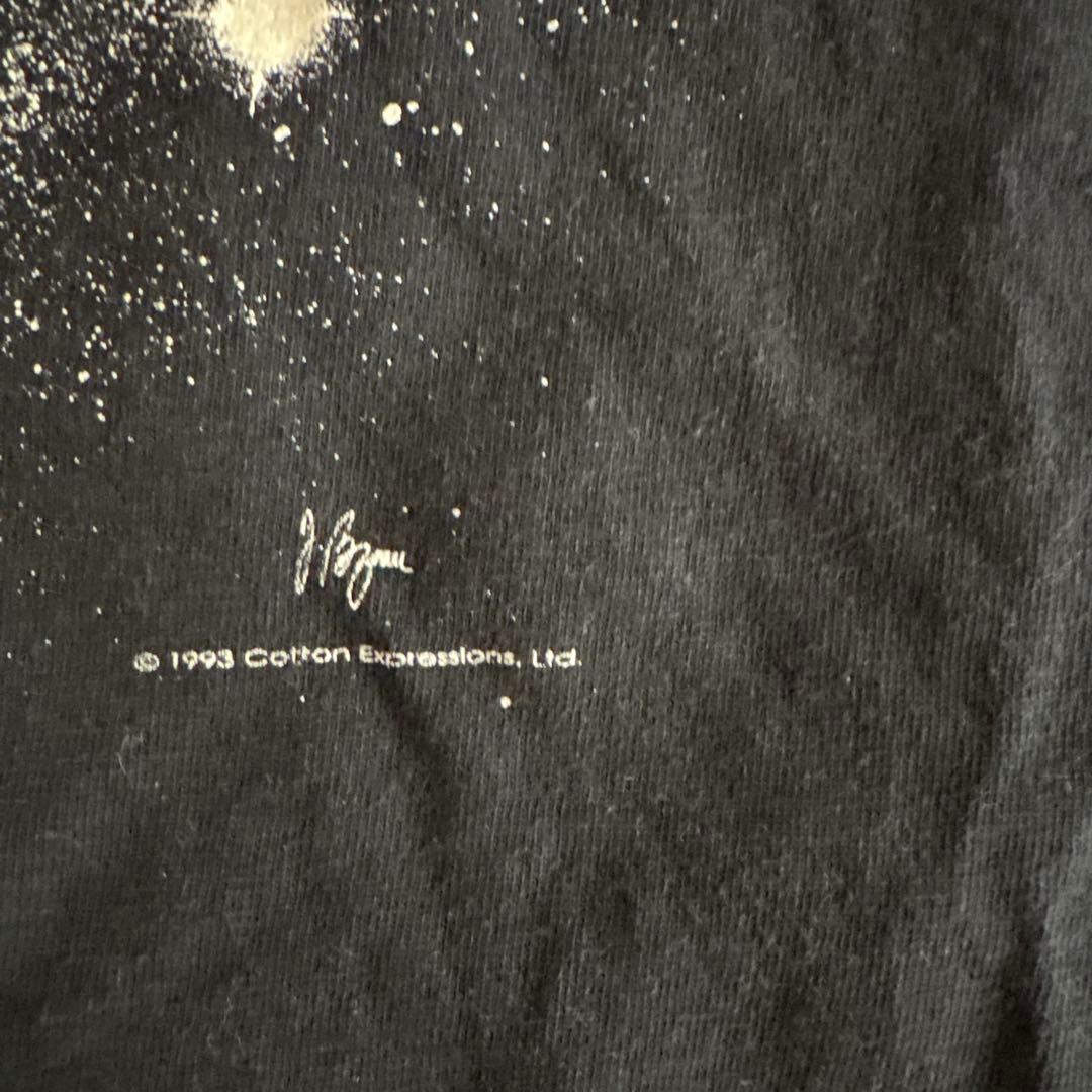 90s USA製 【アインシュタイン】 銀河 プリント Tシャツ