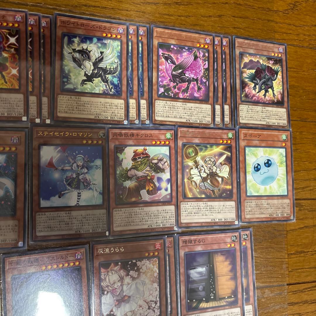 遊戯王 ローズドラゴン デッキ 本格構築 ガチ寄り ブランブルローズ