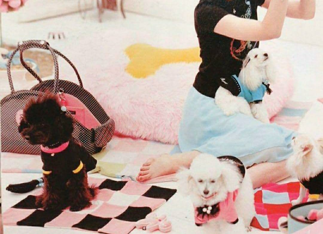 フィフィ＆ロメオ　fifi&romeo　 特大クッション2つセット♥♥