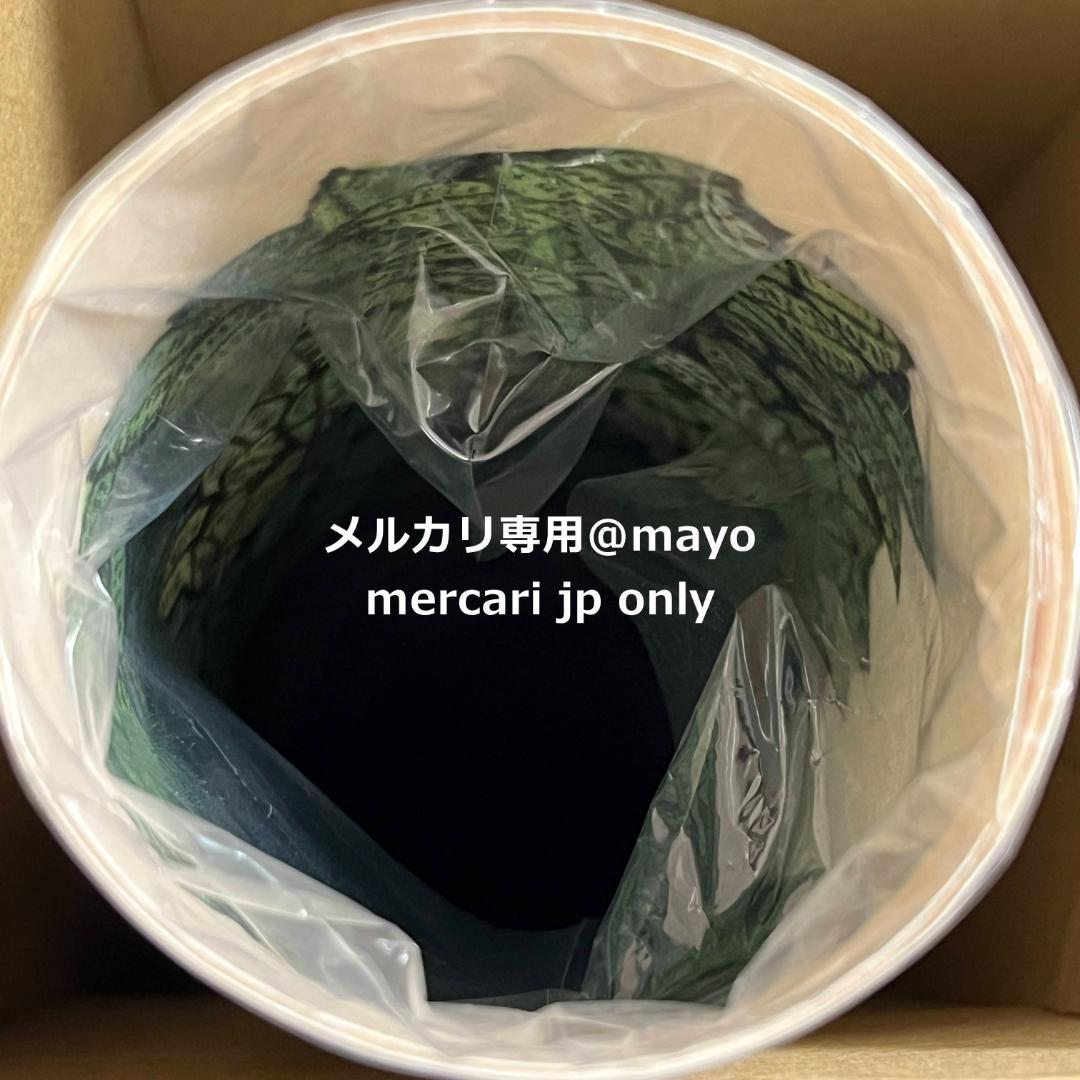 映画「LAMB／ラム」ヒグチユウコ ポスター オルタナティブポスター