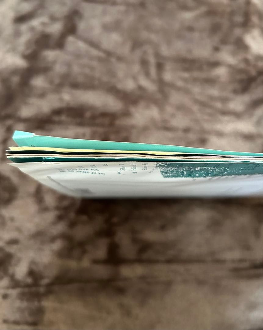 WANDS ファンクラブ 会報誌vol.1～14 おまけ付き