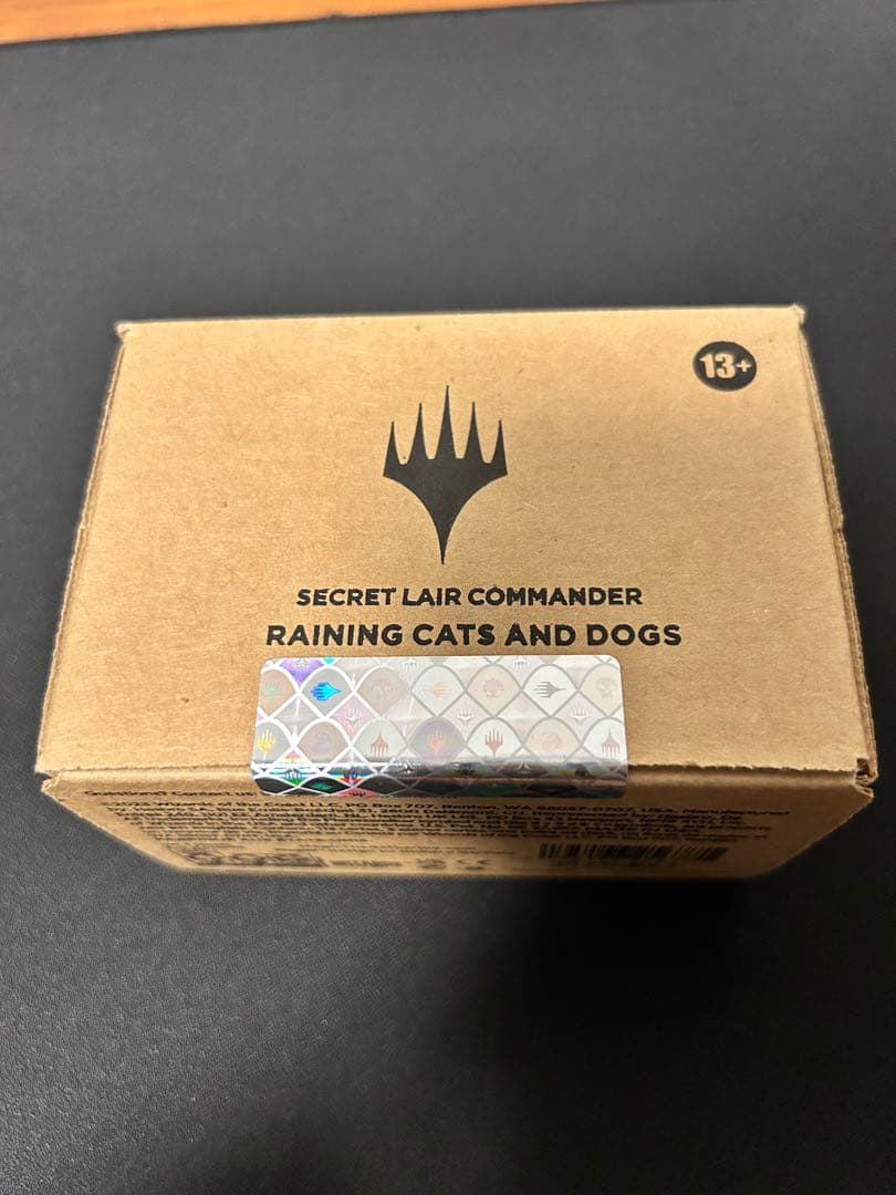 マジック：ザ・ギャザリング MTG Secret Lair Raining Cats and Dogs