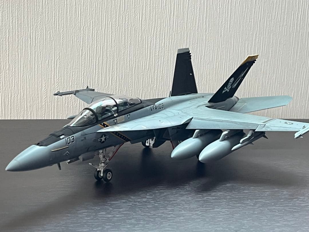 Hasegawa 1/48 F/A-18F SUPER HORNET 完成品