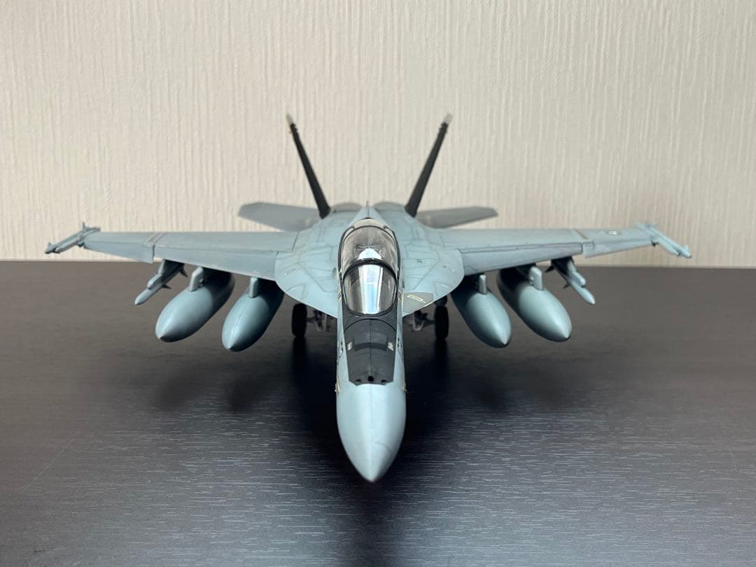Hasegawa 1/48 F/A-18F SUPER HORNET 完成品