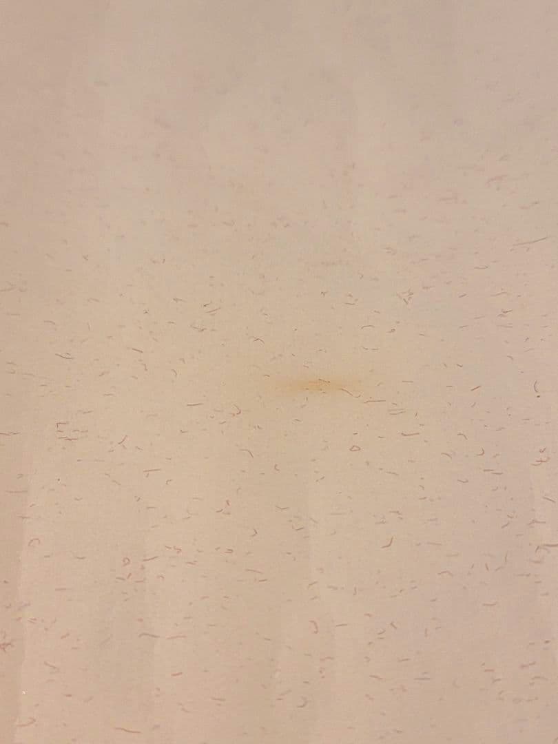 天空の城ラピュタ　ポスター［C］