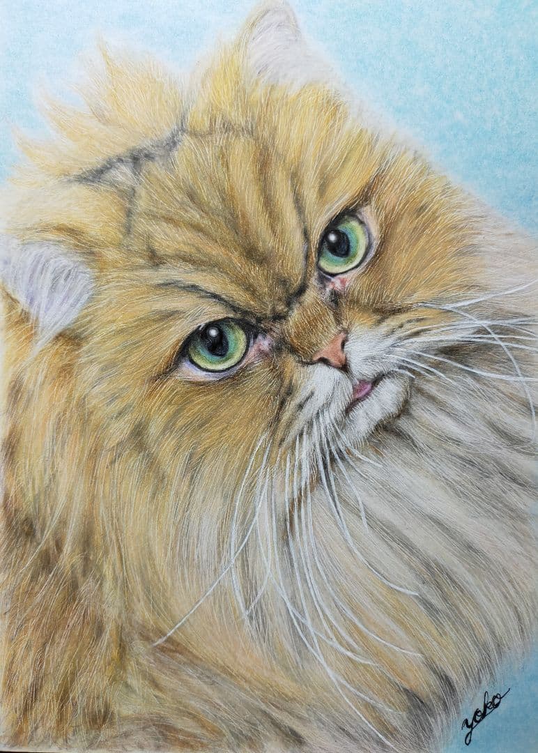 専用　色鉛筆画　絵画　原画　愛猫　似顔絵　オーダーページです
