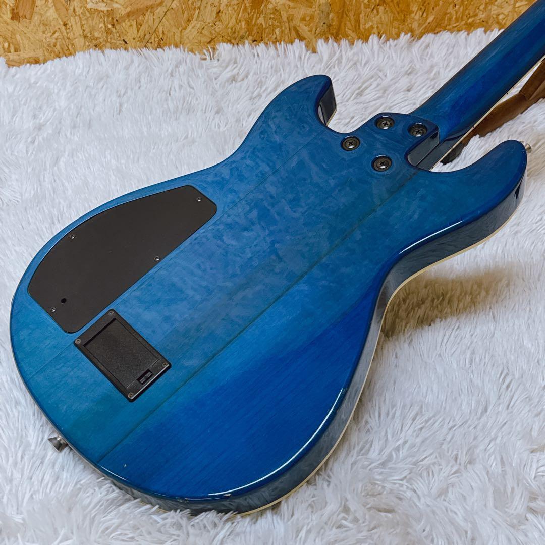 フレイムトップ！FERNANDES APG サスティナー搭載 ブルー 青