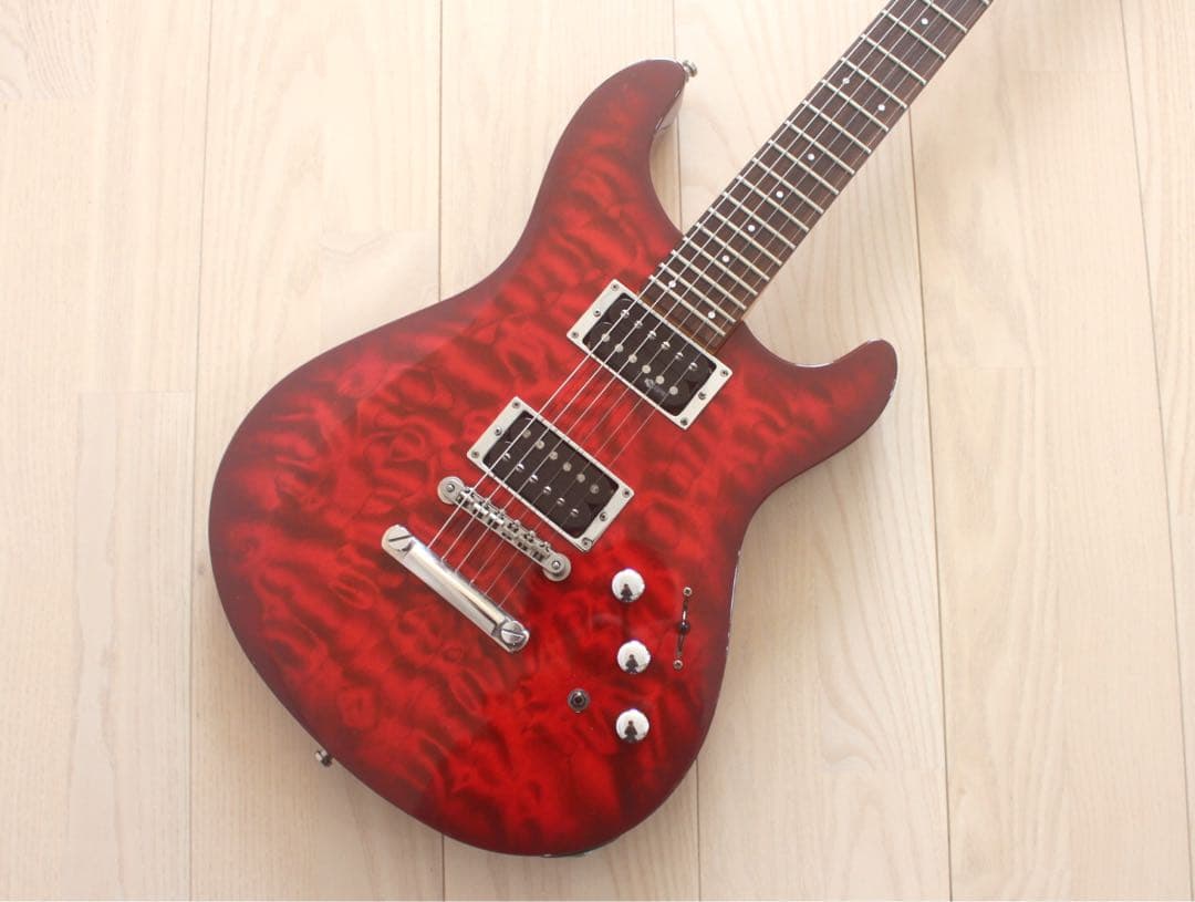 Fernandes APG-65S サスティナー搭載