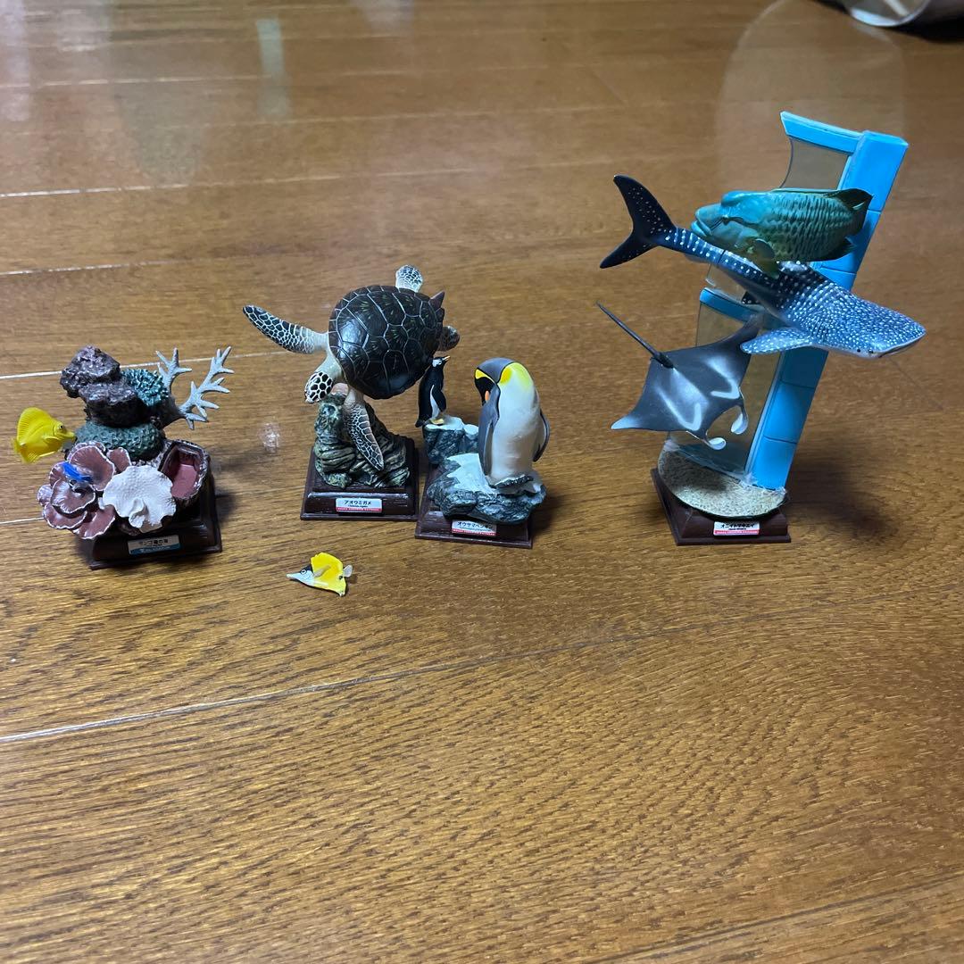 【海遊館限定】　海遊館ガチャガチャ　オニイトマキエイ　アオウミガメ