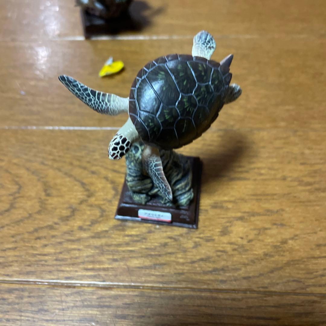 【海遊館限定】　海遊館ガチャガチャ　オニイトマキエイ　アオウミガメ