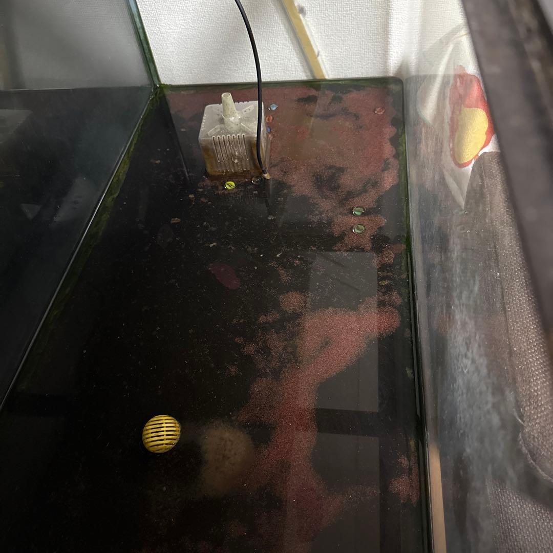 ニッソー90cm水槽と水槽台