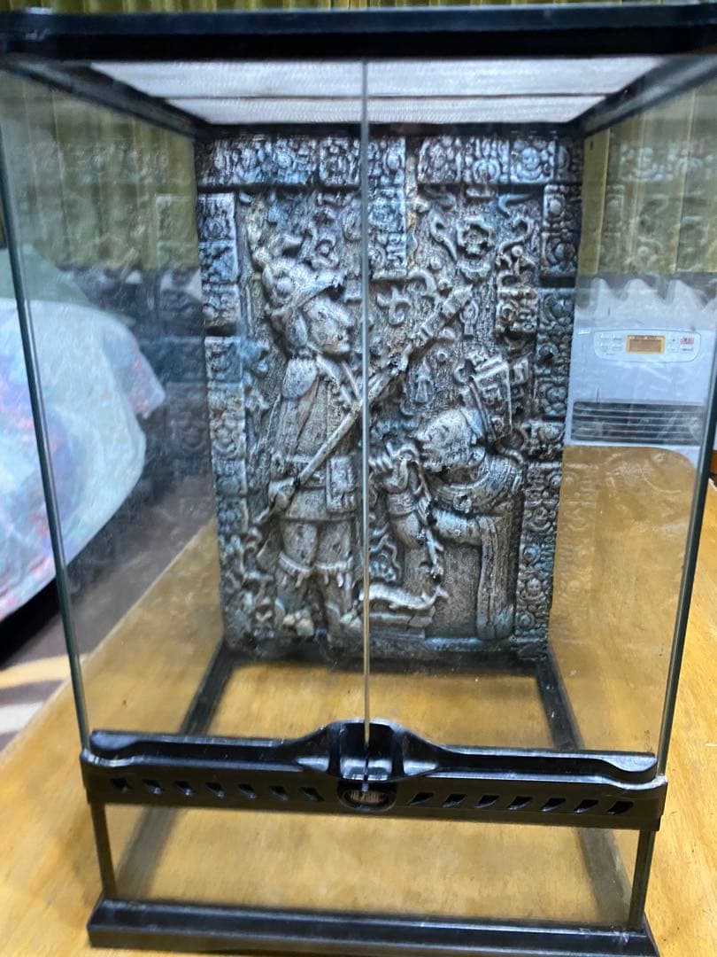 「引取り限定」爬虫類ケージまとめ売り　グラステラリウム アステカキット