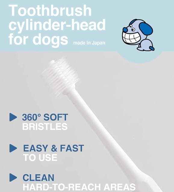 【新品未使用】犬口ケア 犬用 歯ブラシ シリンダーヘッド(レギュラー) 81個