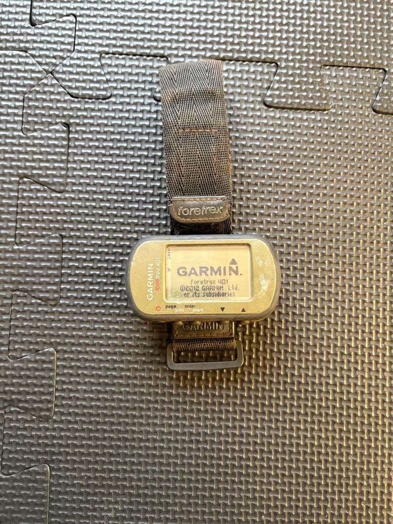 個人装備 GARMIN Foretrex 401 GPS