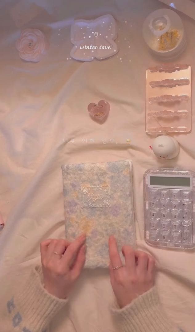 1点のみ 韓国 バインダー 現金 貯金 リフィル