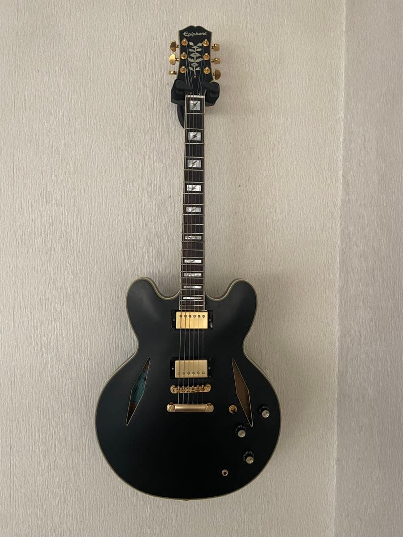 a*a様 Epiphone Emily Wolfe Sheraton Steal