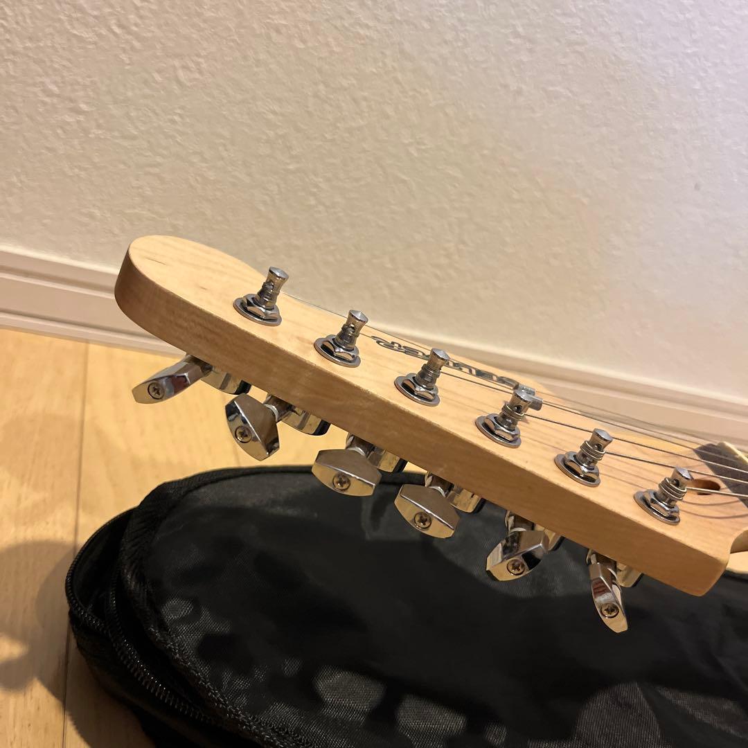 【美品】SELDER 黒 ブラック セルダー ソフトカバー　チューナーセット