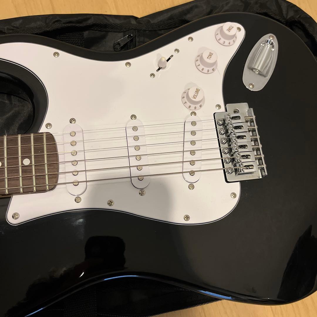 【美品】SELDER 黒 ブラック セルダー ソフトカバー　チューナーセット