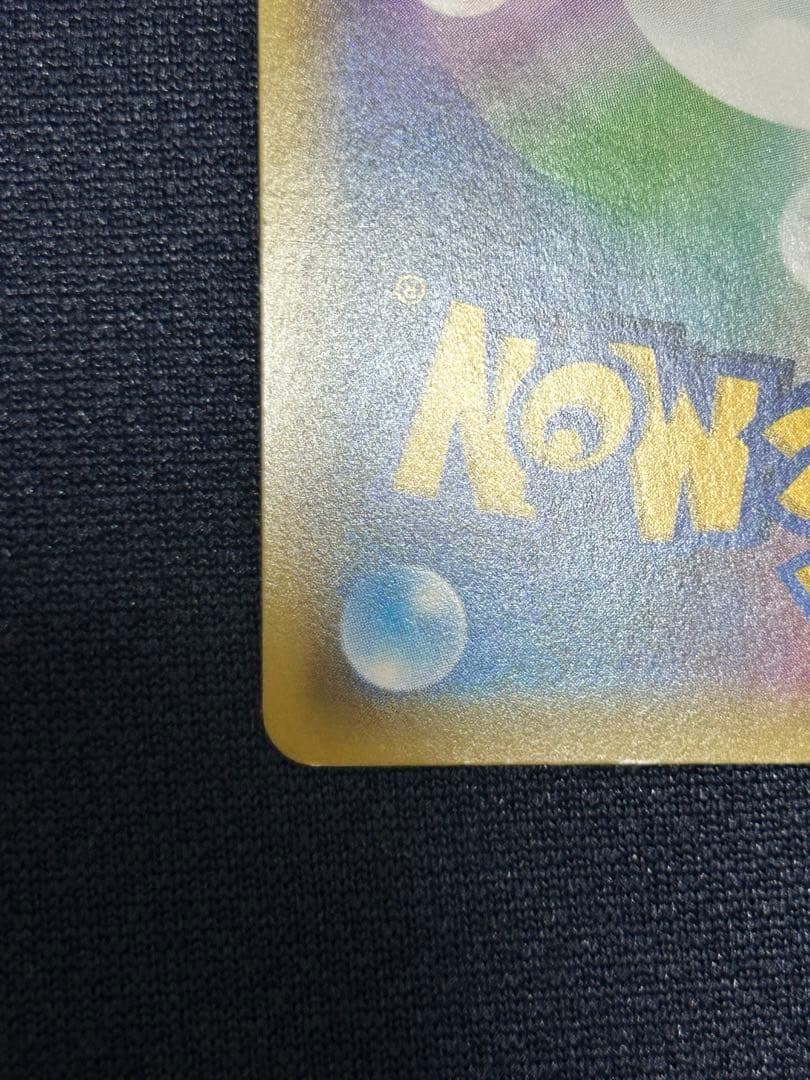 ポケモンカード ポケカ エリカのおもてなし SR