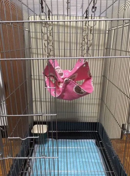 モモンガハウス(あじさい)  夏仕様   涼しい夏生地を使用❗️1600円