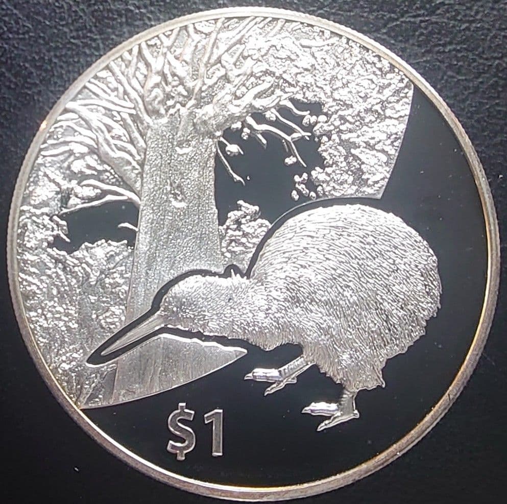 2013年 ニュージーランド銀貨 1ドル キーウィ銀貨 SV999 純銀1オンス