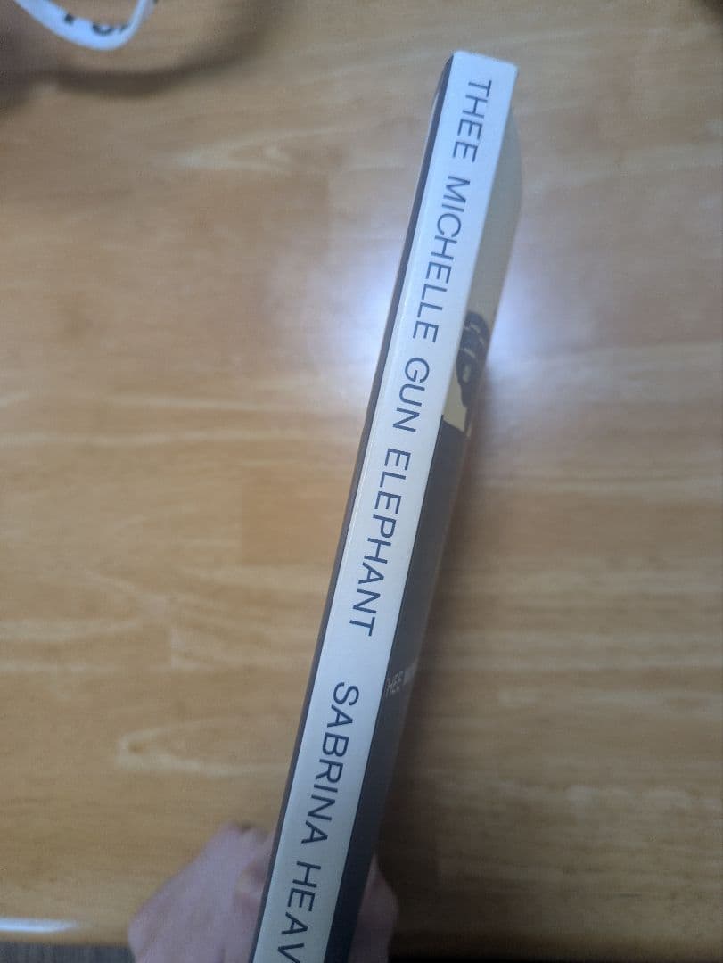 SABRINA HEAVEN バンドスコア