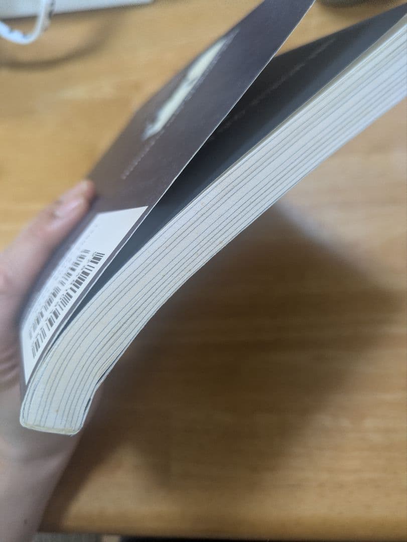 SABRINA HEAVEN バンドスコア