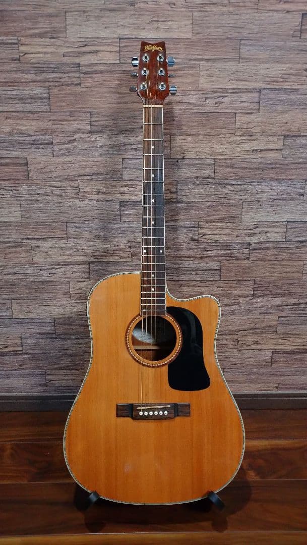 Washburn d10sce　エレアコ