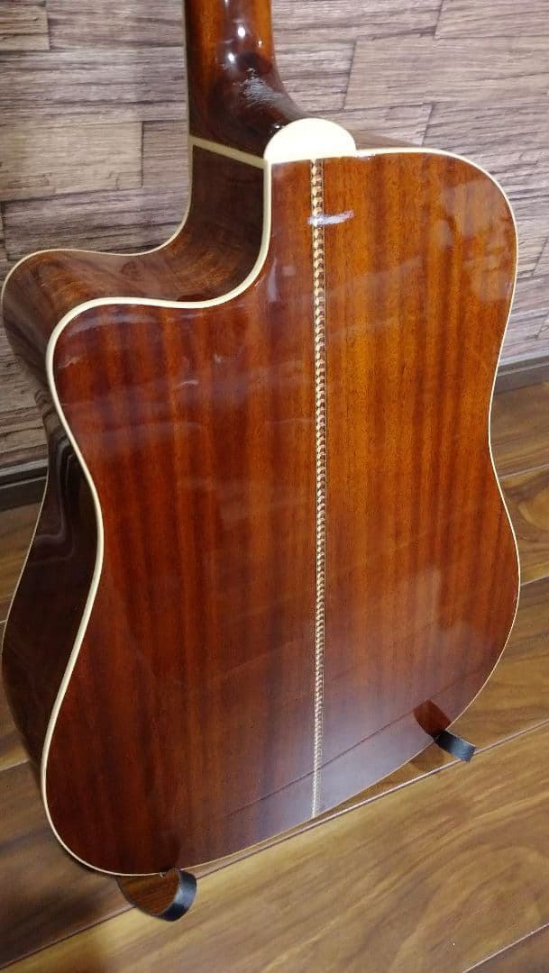 Washburn d10sce　エレアコ