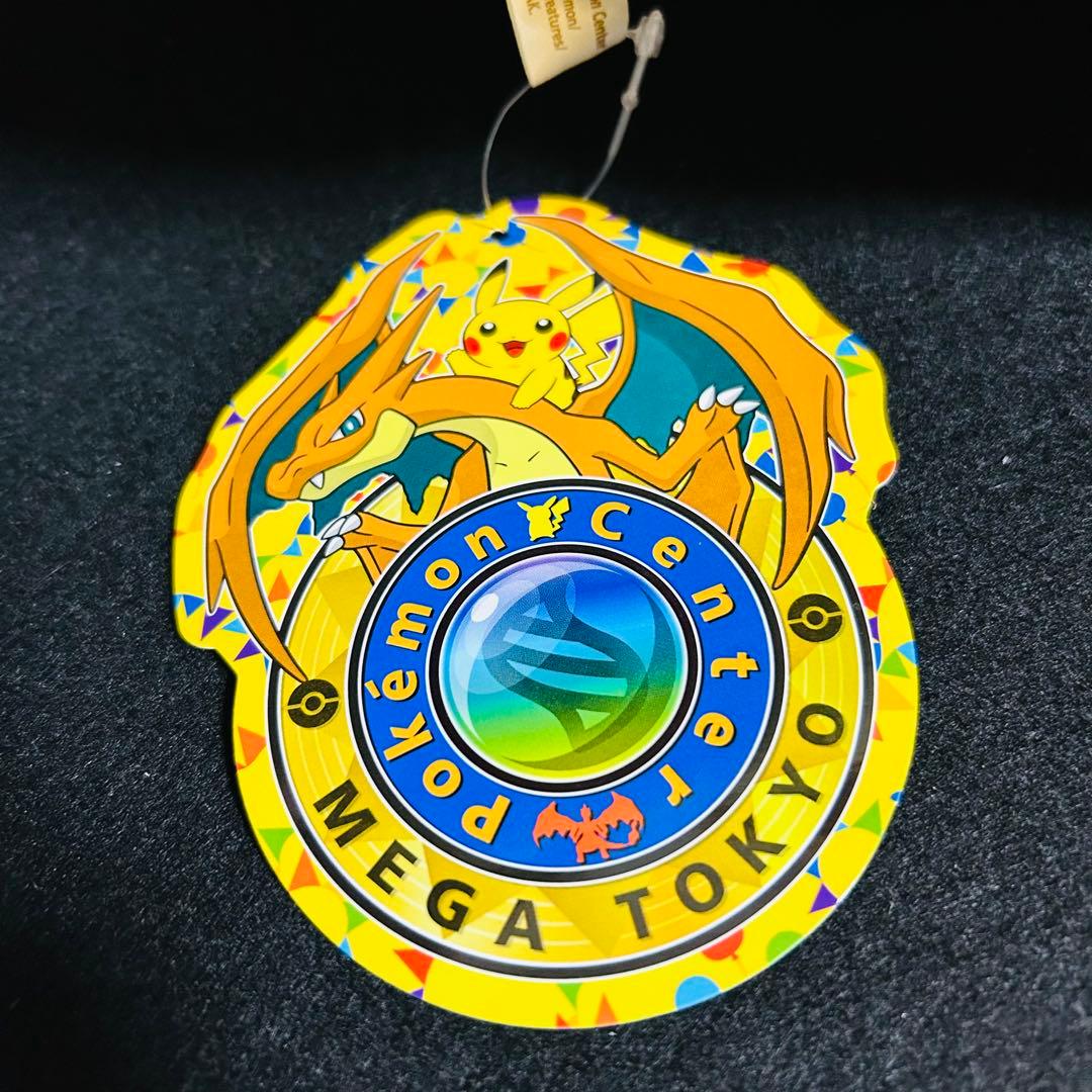 ピカチュウ メガリザードンY Ver メガサイズぬいぐるみ ポンチョ